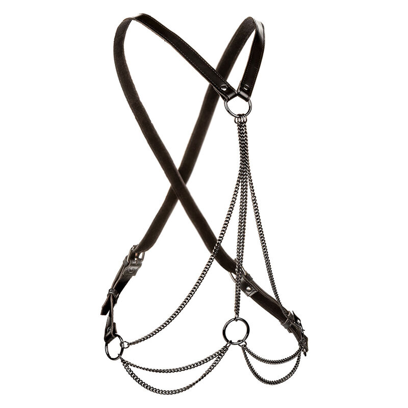 Calexotics - Euphoria Multichain Harness Premium - Image 2