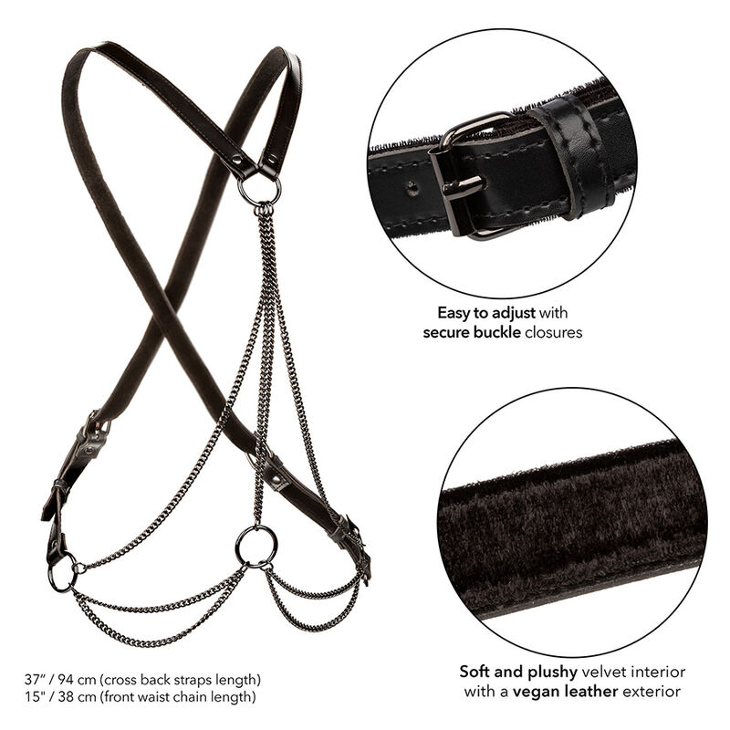 Calexotics - Euphoria Multichain Harness Premium - Image 3
