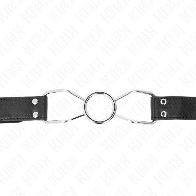 Kink Spider Mouth Gag - Image 3