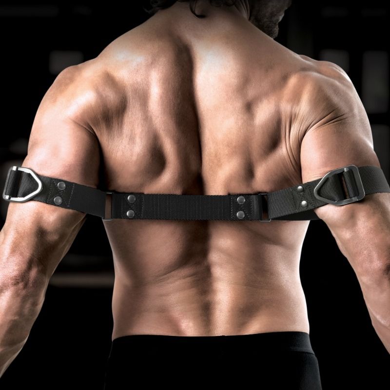 Sir Richards - Command Biceps Bender - Image 4