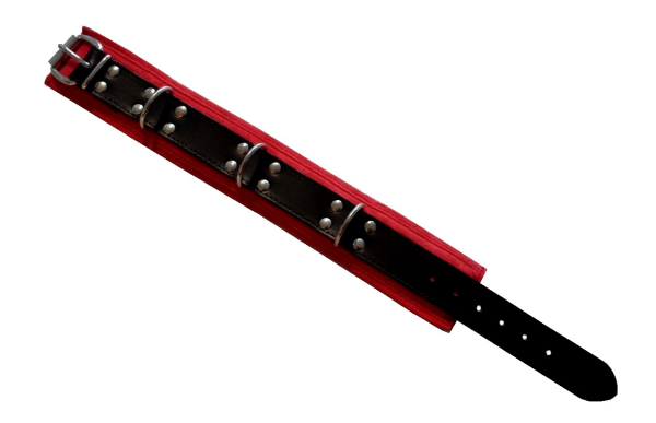 Leather Collar with Red Suede-Look Lining