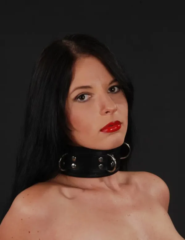 Padded Leather Collar with Three D-Rings